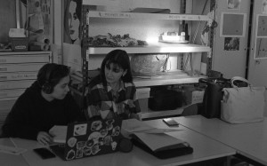 Photo pellicule1-23.jpg