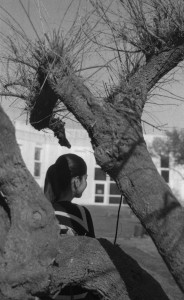 Photo pellicule2-16.jpg