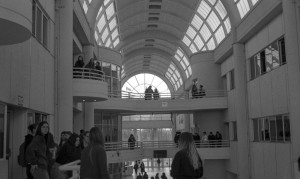 Photo pellicule2-26.jpg