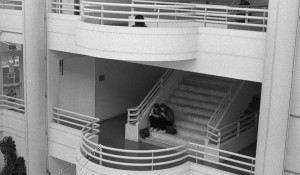 Photo pellicule3-14.jpg