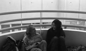 Photo pellicule3-31.jpg