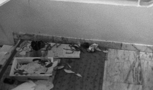 Photo pellicule3-32.jpg