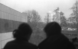 Photo pellicule3.jpg