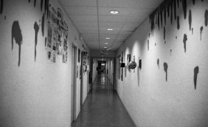 Photo pellicule4-22.jpg