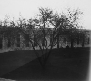 Photo stenope650.jpg