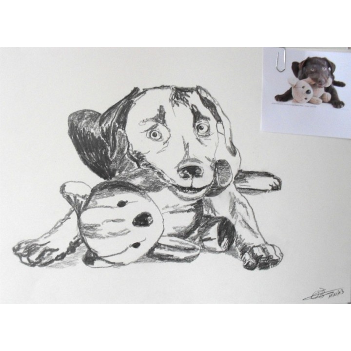 Dessin d'après photographie