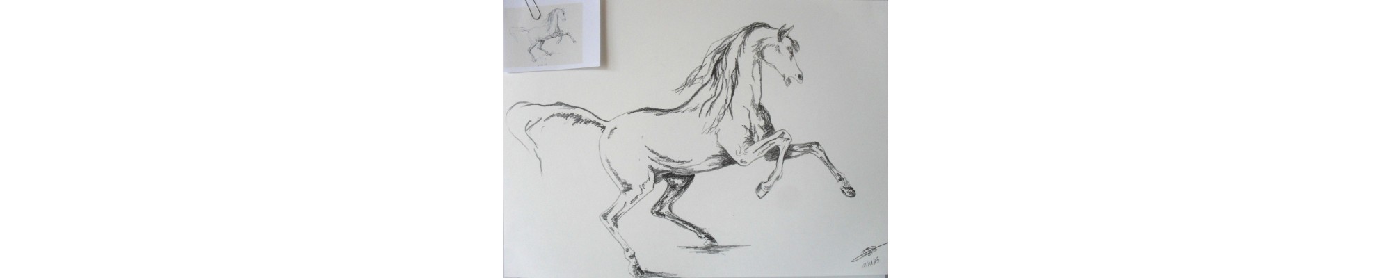 Techniques graphiques